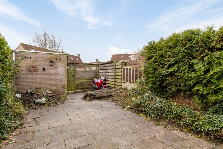 Foto 19 van Spant 125