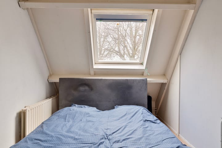 Foto 10 van Spant 125