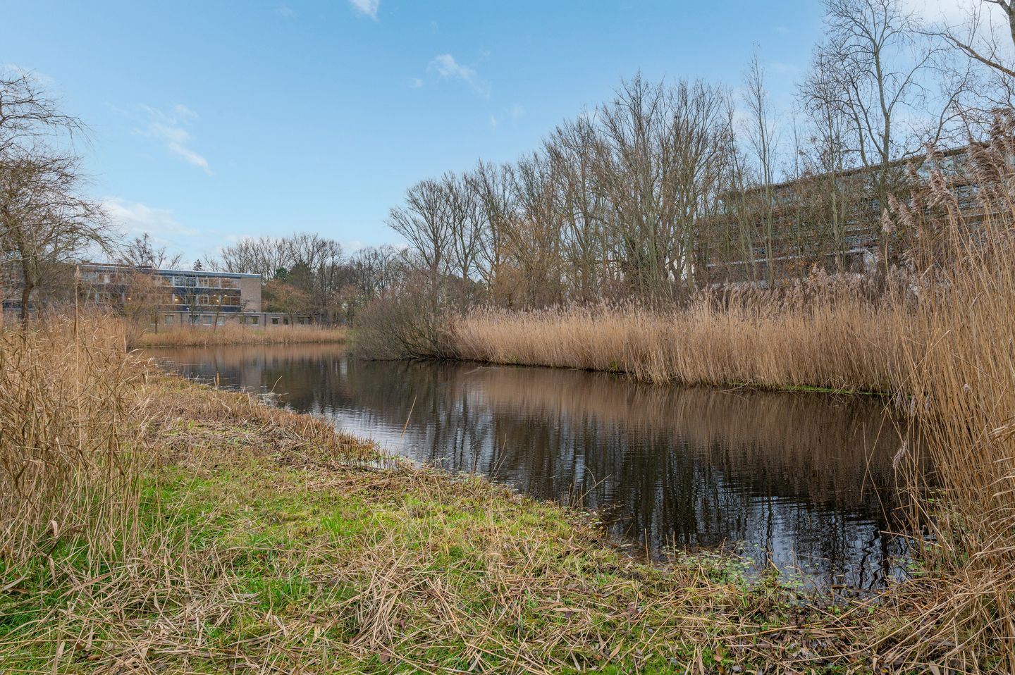 Foto 29 van Hora Siccamasingel 89