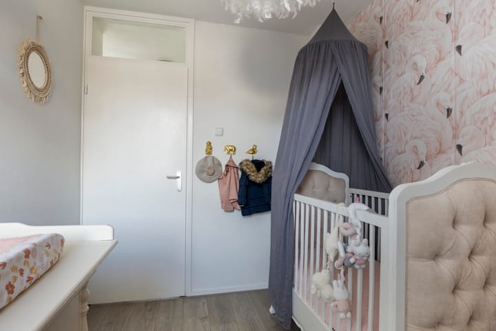 Photo 18 of Aldlânsdyk 49