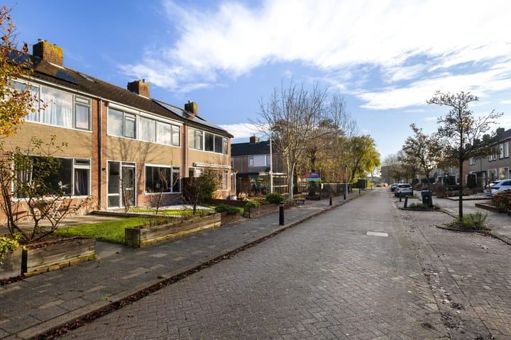 Photo 35 of Aldlânsdyk 49