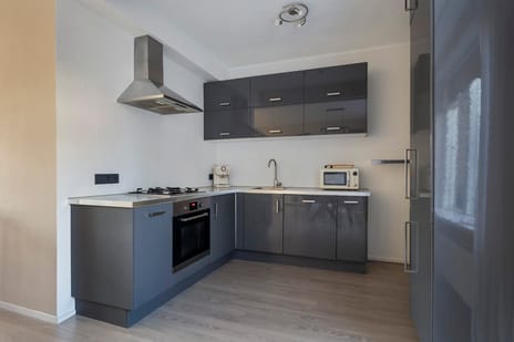 Aldlânsdyk 49 tertiary image