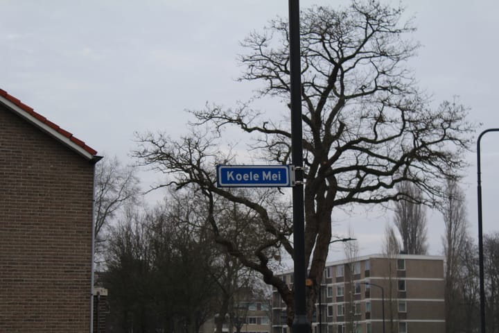 Foto 9 van Moleneindstraat 2-B