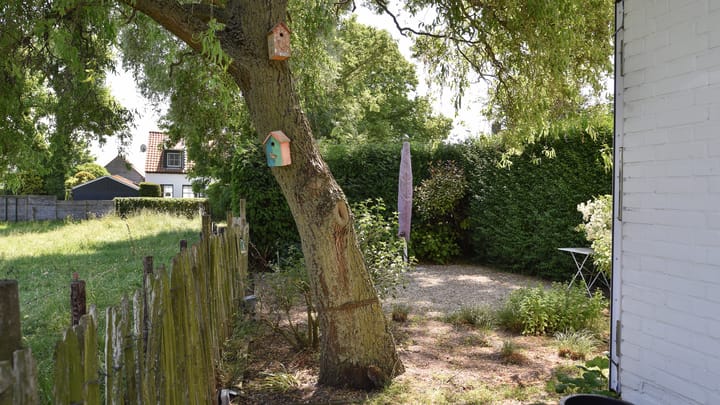 Photo 23 of Singel 2