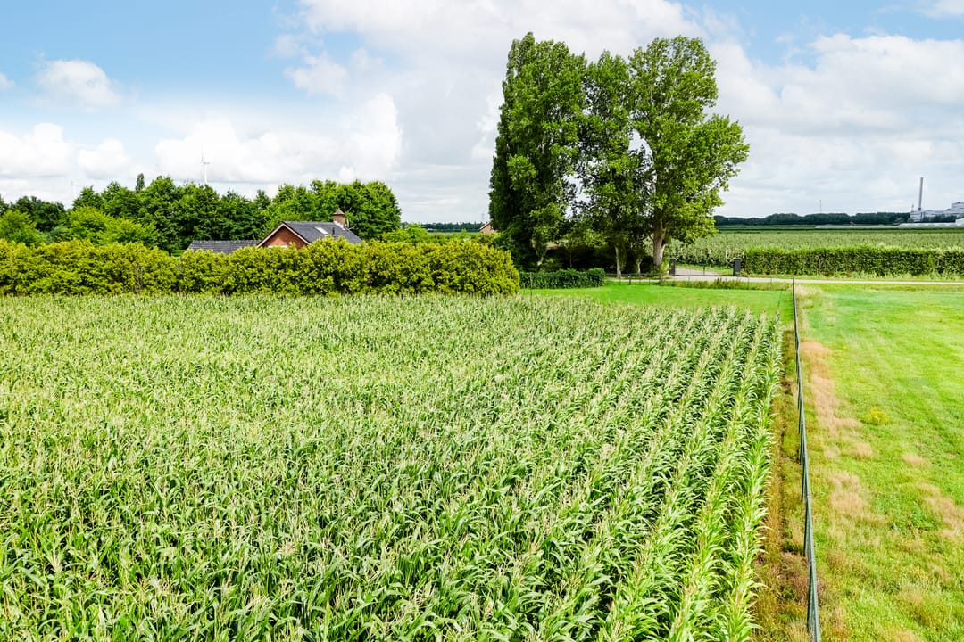 Foto 16 van Holderbergsestraat 1-A