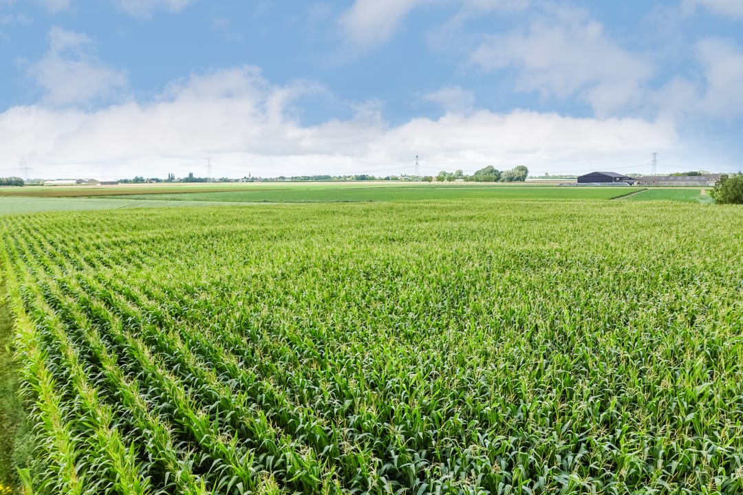 Foto 17 van Holderbergsestraat 1-A