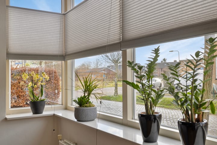 Foto 13 van Aalscholverstraat 2