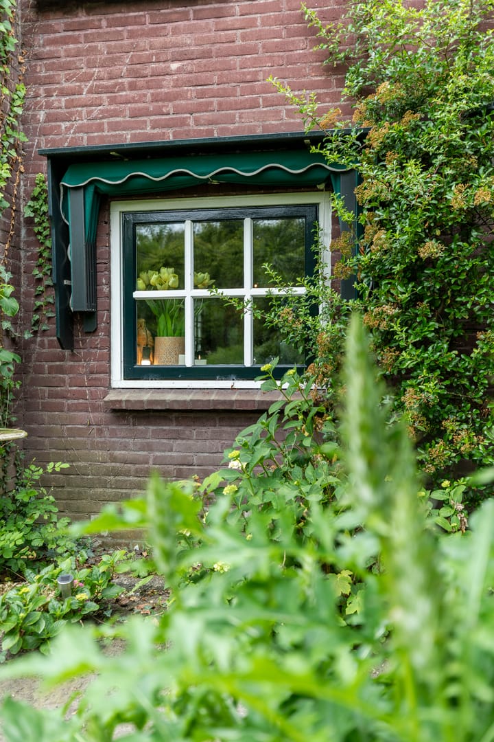 Foto 50 van Weelsedijk 26