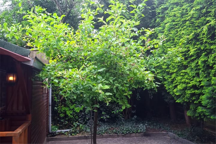 Foto 45 van Edisonstraat 50