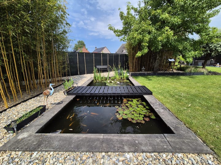 Foto 48 van Bossestraat 49-A