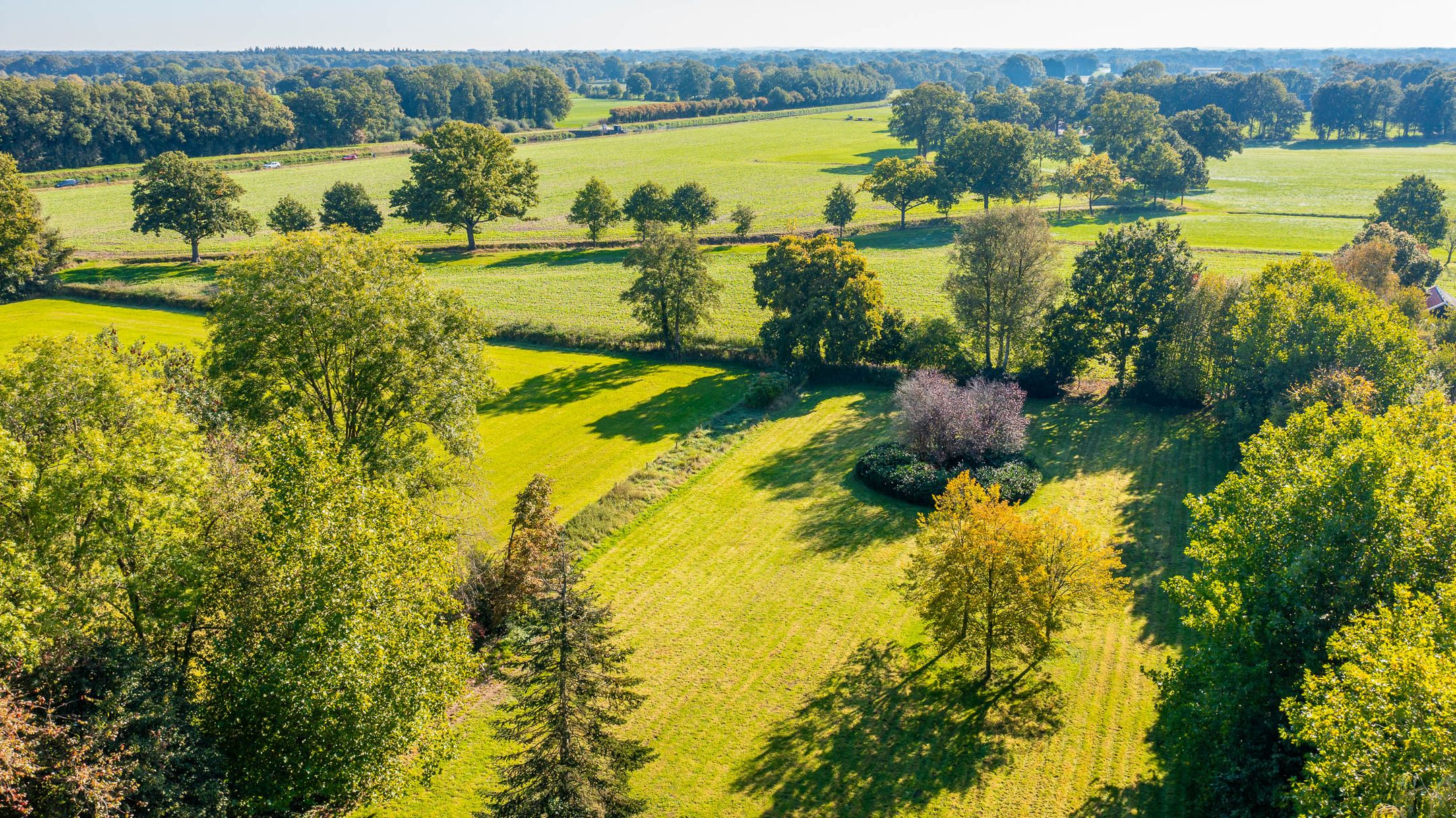 Foto 39 van Bolkshoeksweg 16