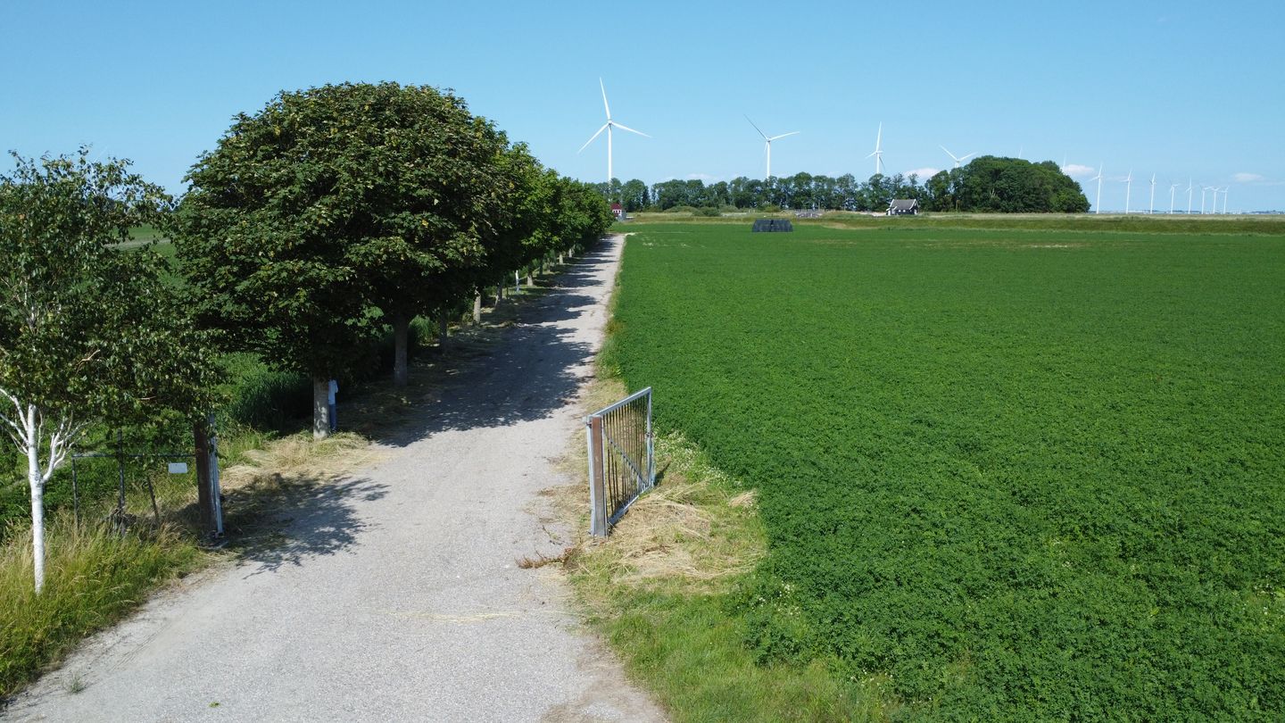 Korte Groetpolderweg - Winkel - Afbeelding 6