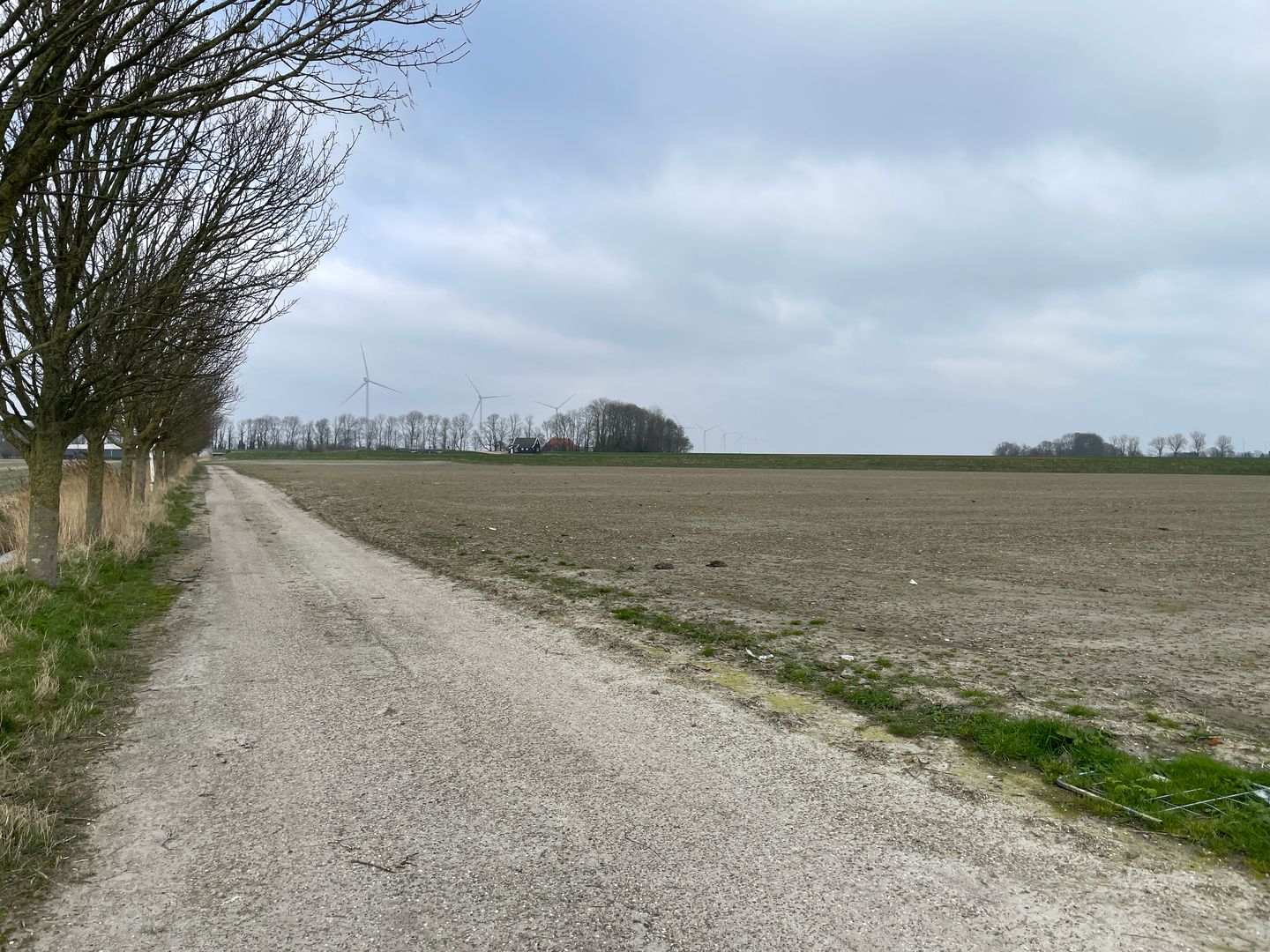 Korte Groetpolderweg - Winkel - Afbeelding 7