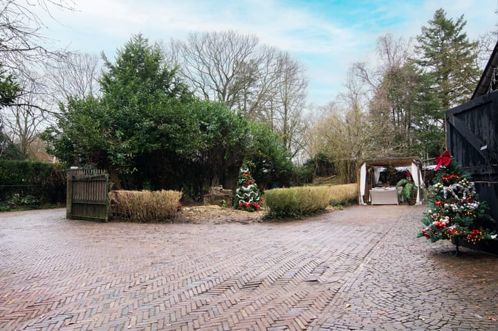 Foto 4 van Graaf Floris V weg 3-B