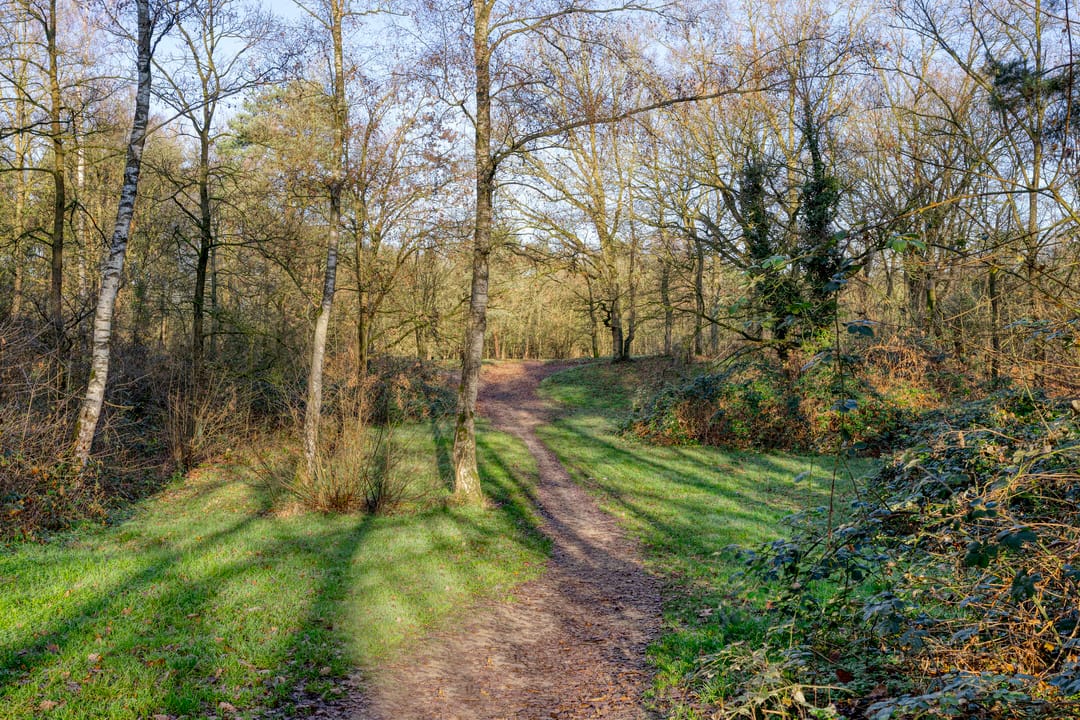 Foto 52 van Drenthehof 43