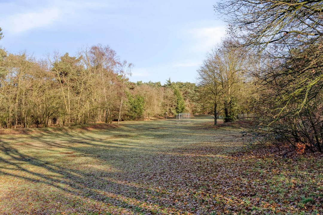 Foto 53 van Drenthehof 43