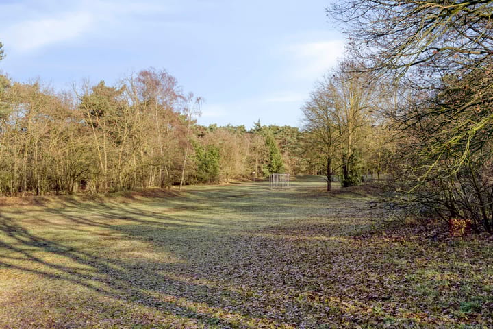 Foto 53 van Drenthehof 43