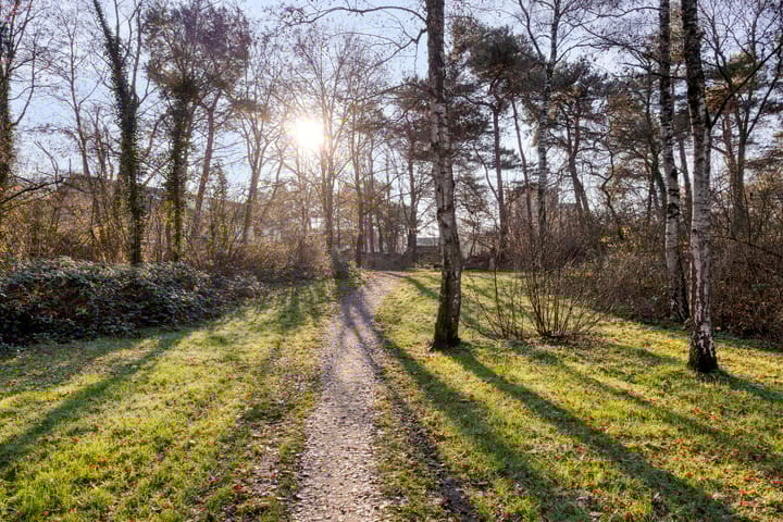 Foto 54 van Drenthehof 43