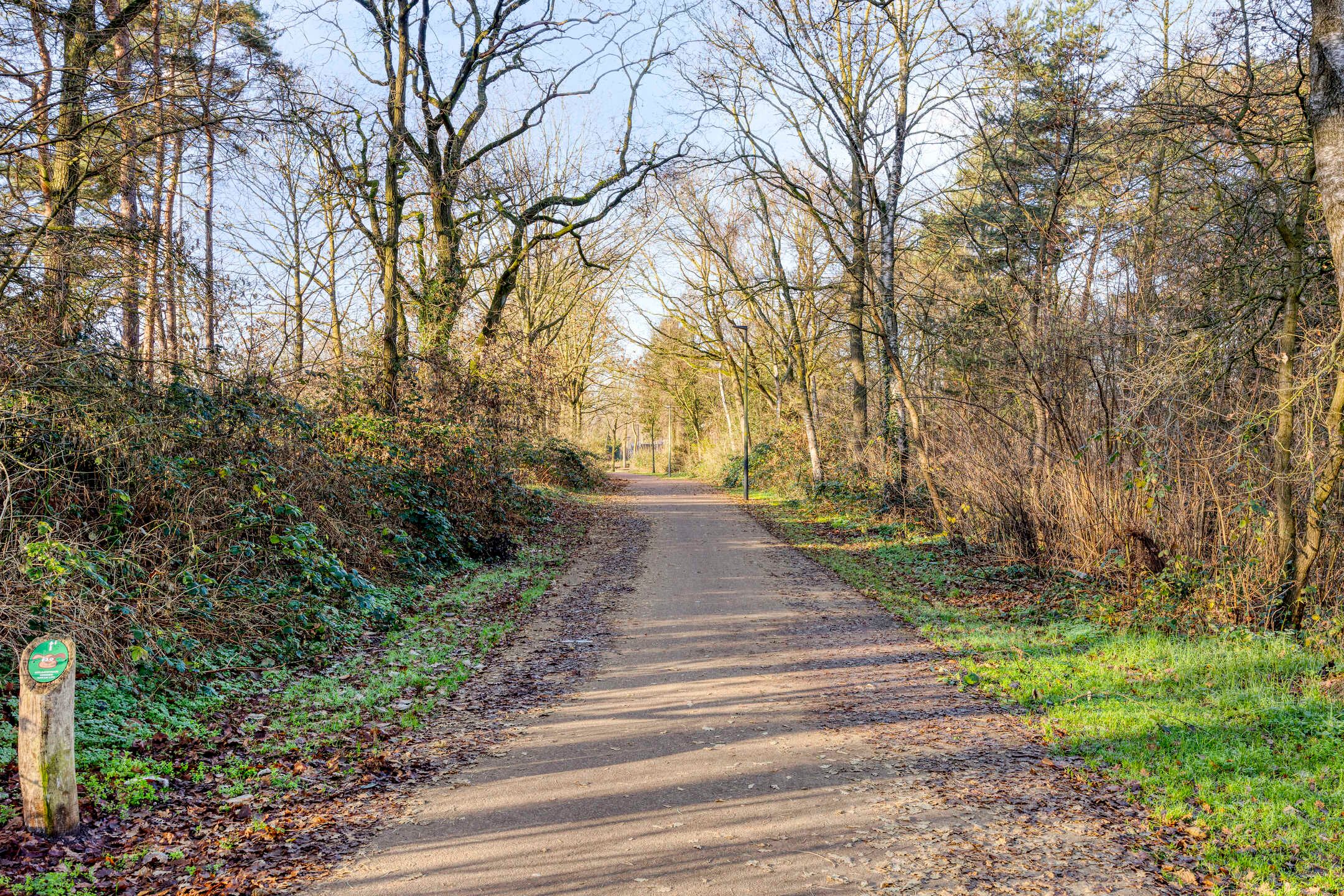 Foto 51 van Drenthehof 43