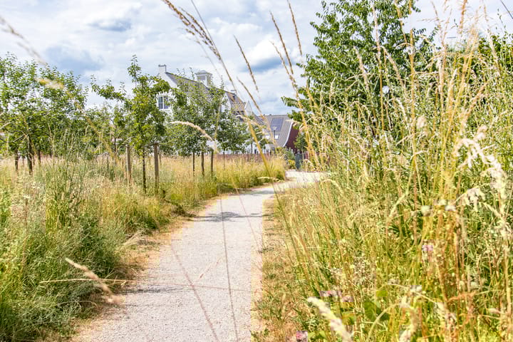 Photo 53 of Vogelenzang 16-A