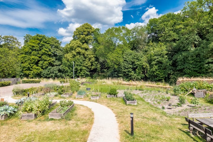 Photo 54 of Vogelenzang 16-A