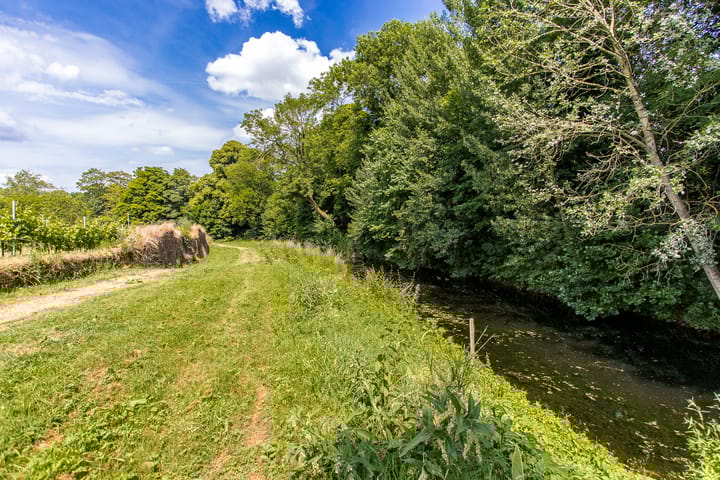 Photo 58 of Vogelenzang 16-A