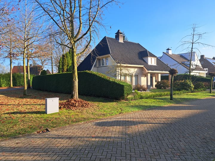 De Scheifelaar 227 main image