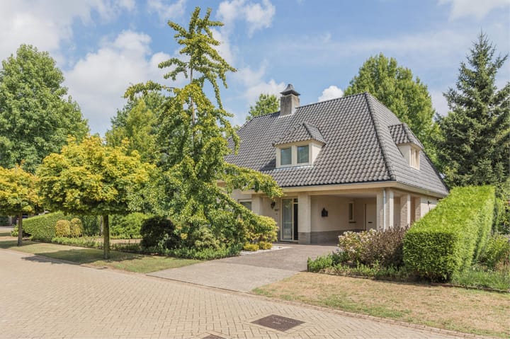 Foto 9 van De Scheifelaar 227