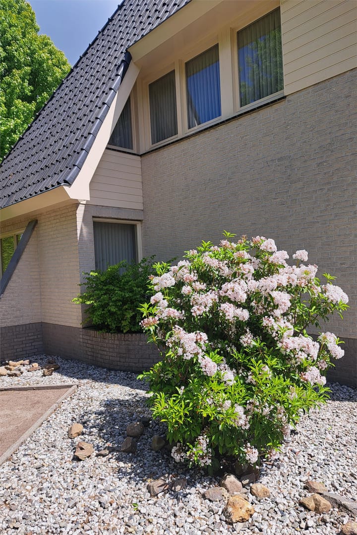 Foto 11 van De Scheifelaar 227