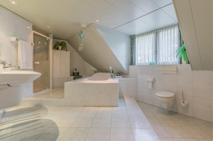 Foto 41 van De Scheifelaar 227