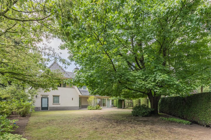 Foto 60 van De Scheifelaar 227