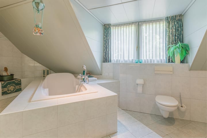 Foto 43 van De Scheifelaar 227