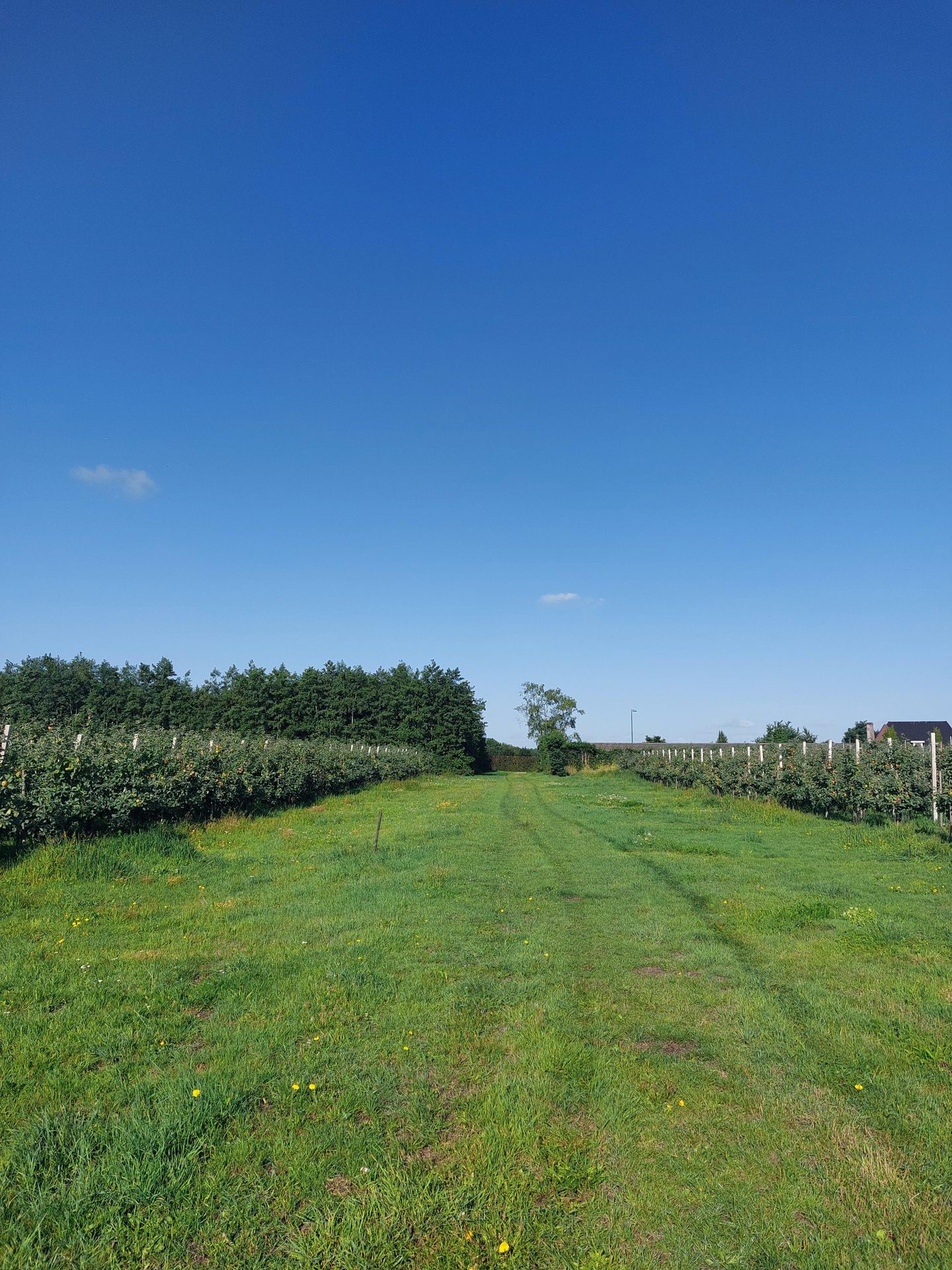 Bekijk foto 2 van Holterbergsestraat