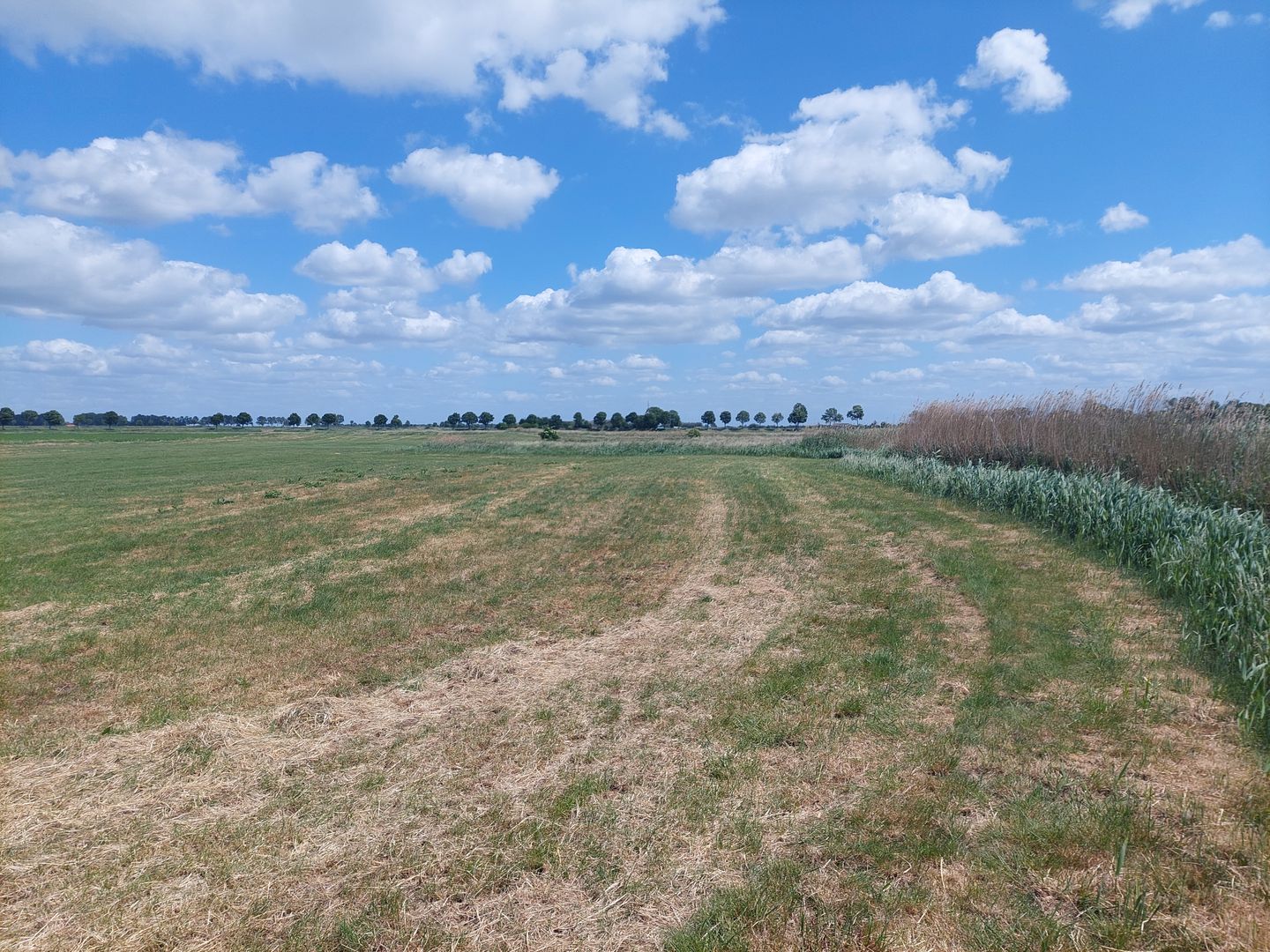 Groenhoven - Poortvliet - Afbeelding 7