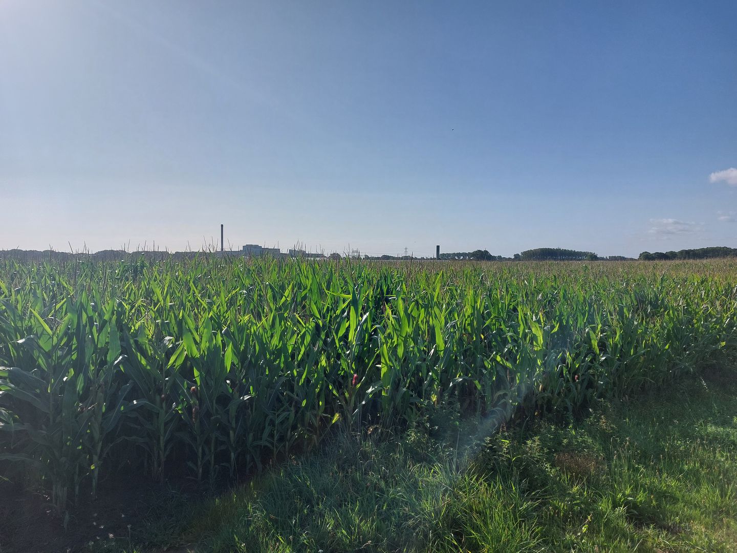 Holterbergsestraat - Roosendaal - Afbeelding 1