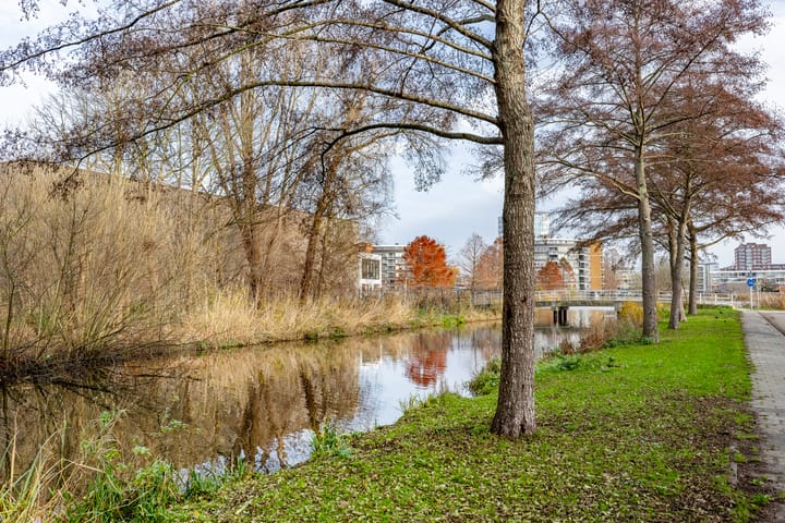 Foto 25 van Rubenssingel 79