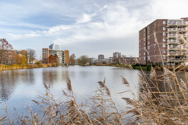 Foto 30 van Rubenssingel 79