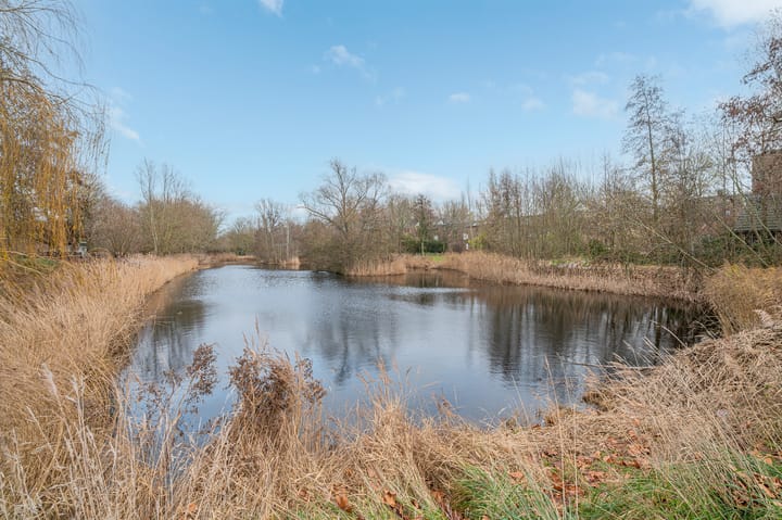 Foto 29 van Amkemaheerd 268