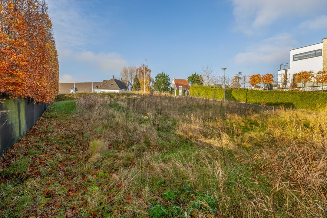 Foto 11 van Grindweg 664