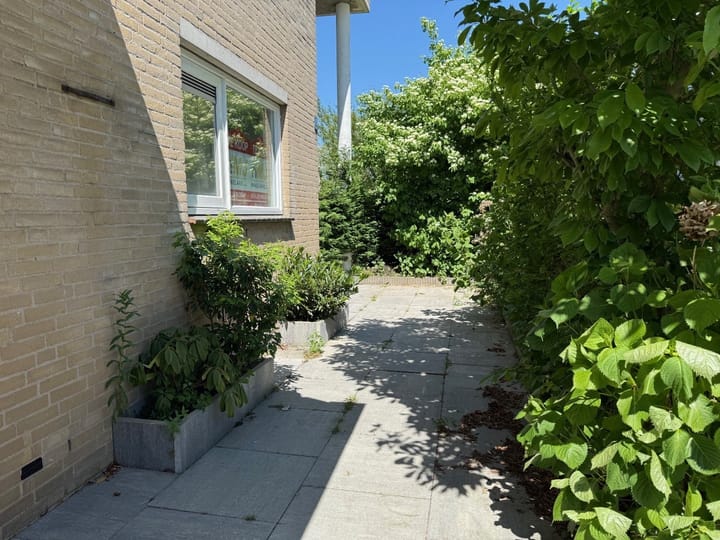 Foto 32 van Willem Marisrade 9