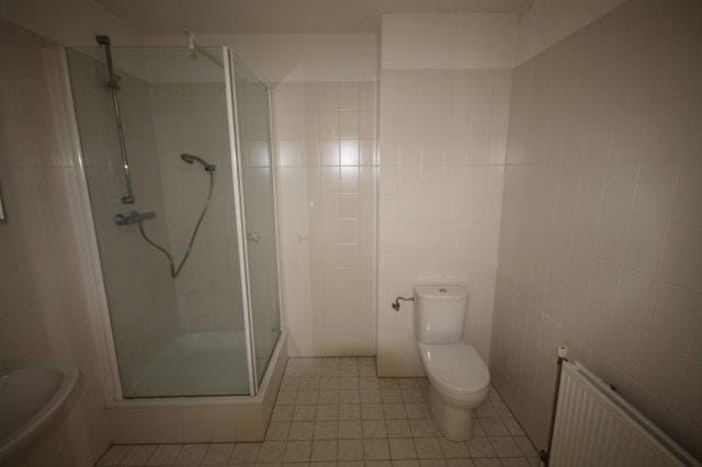 Foto 12 van Jan Greshoffplantsoen 7