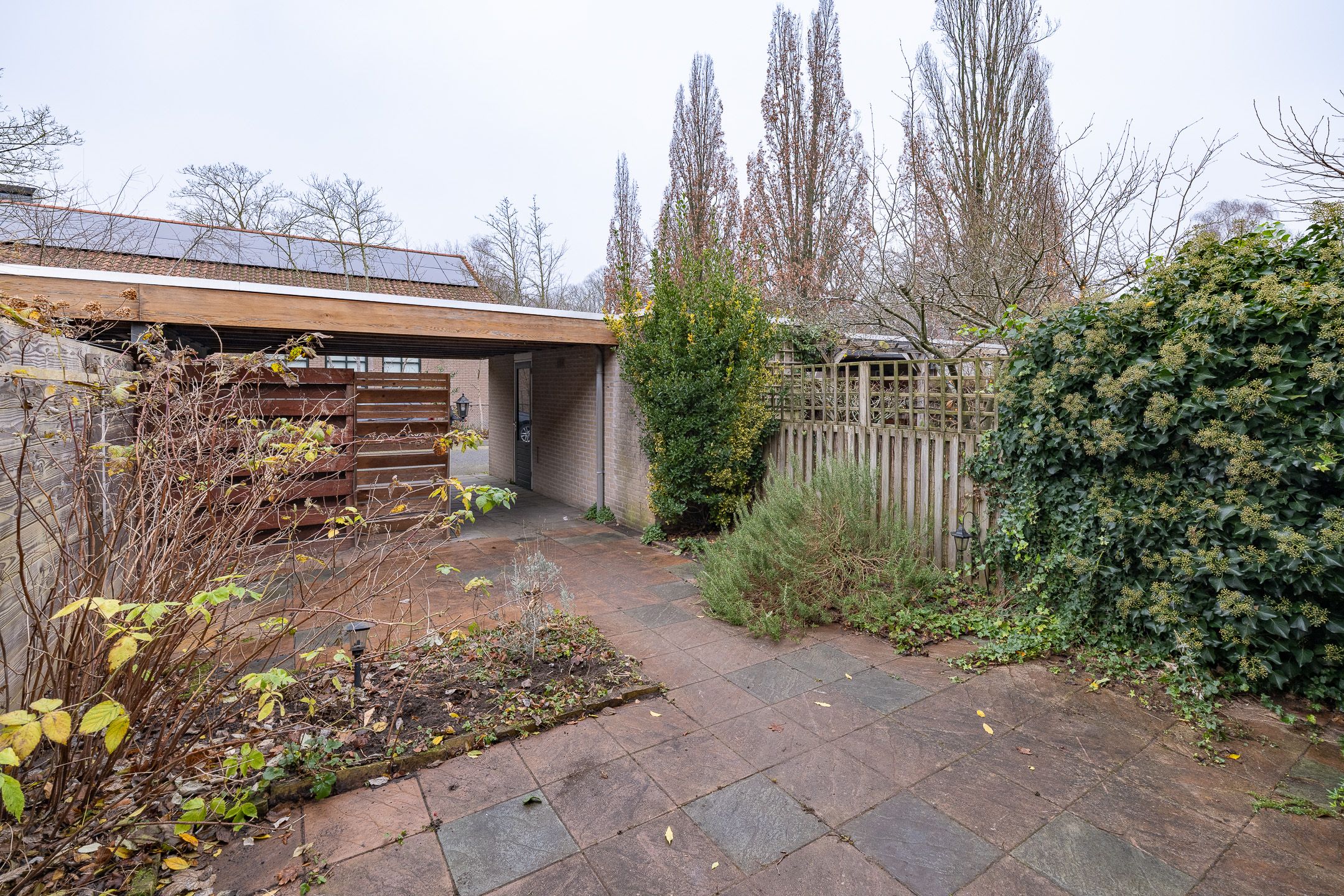 Foto 33 van de Griffel 17