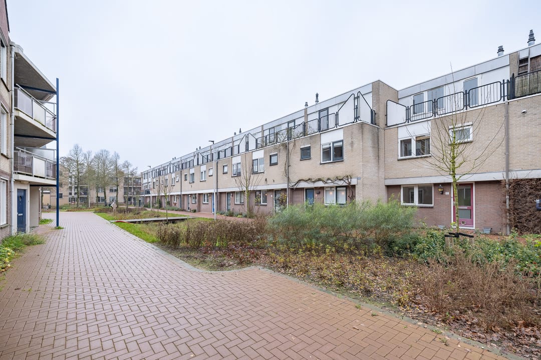 Foto 41 van de Griffel 17