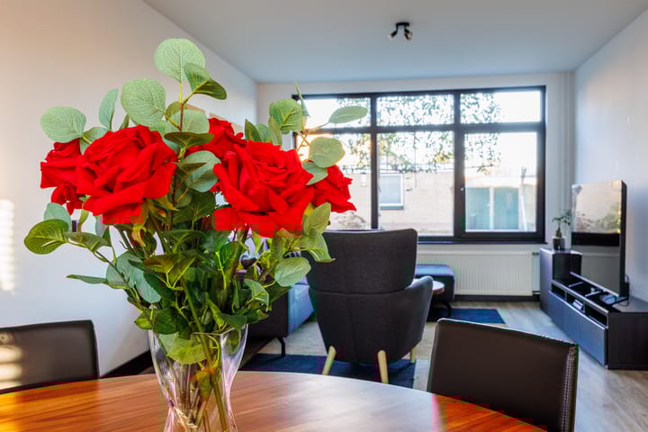 Photo 17 of Anemoonstraat 6