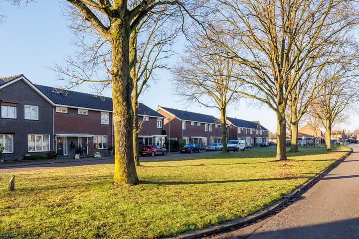 Photo 48 of Anemoonstraat 6