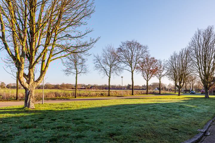 Photo 49 of Anemoonstraat 6