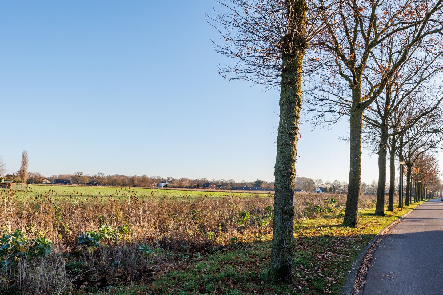 Photo 50 of Anemoonstraat 6