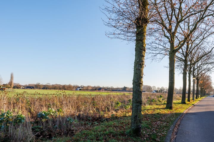 Photo 50 of Anemoonstraat 6