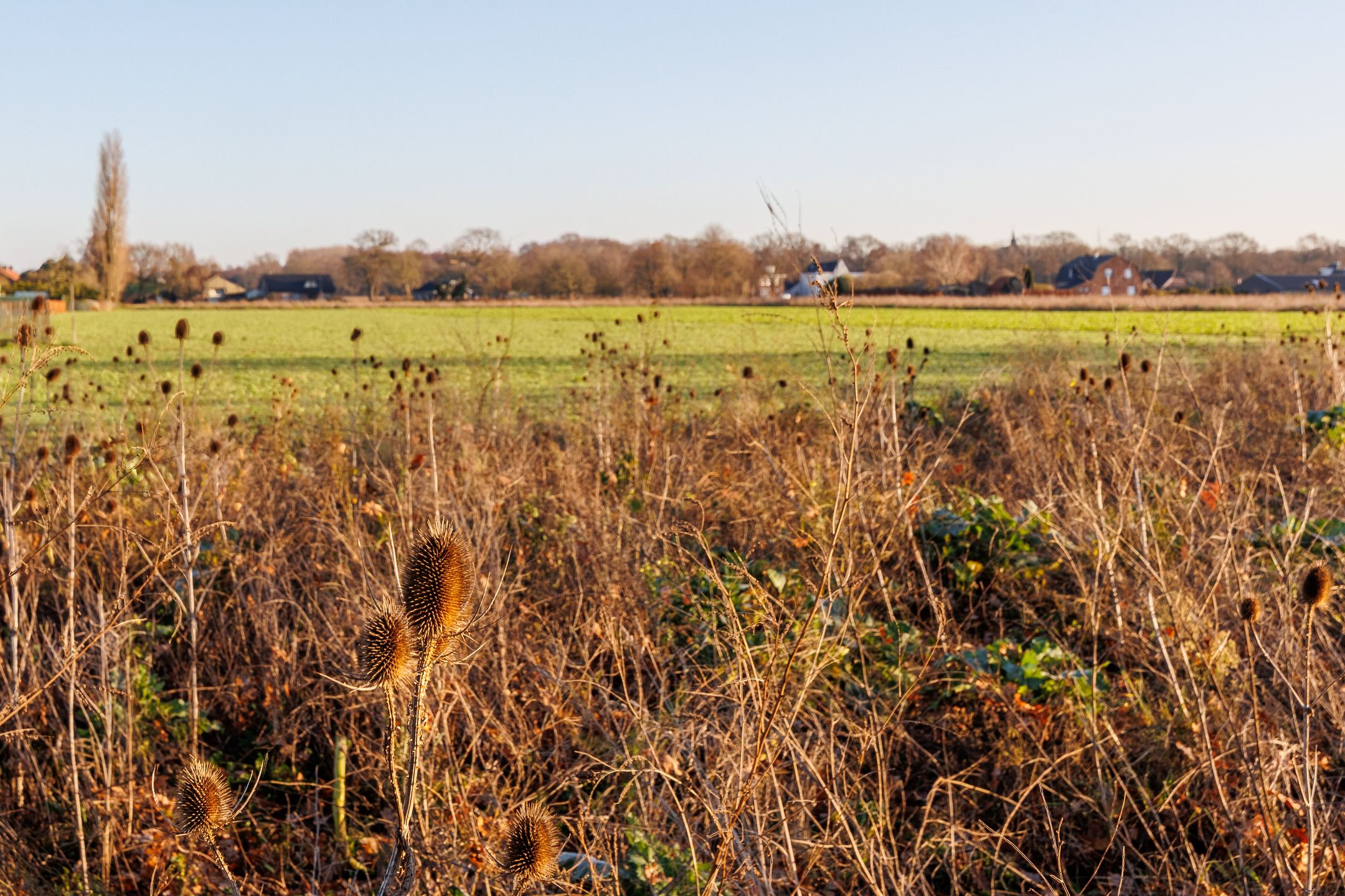 Photo 51 of Anemoonstraat 6