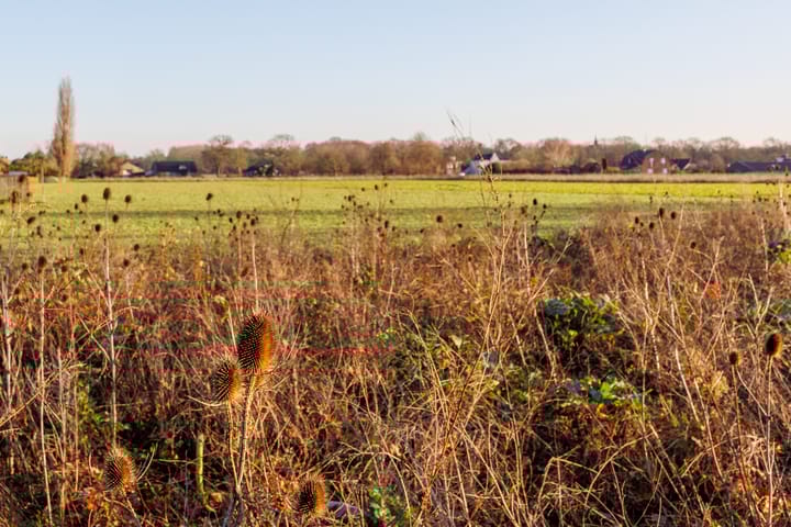 Photo 51 of Anemoonstraat 6